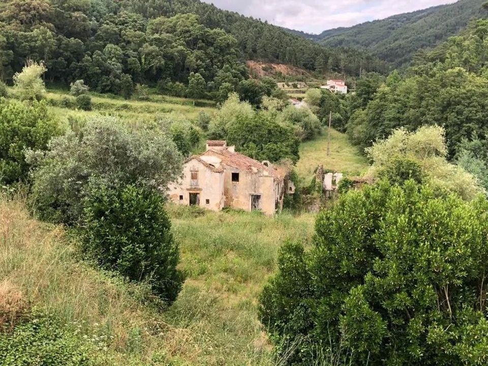 Farm i Penela, Coimbra - foto 1
