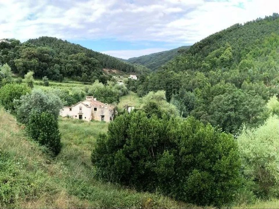 Farm i Penela, Coimbra - foto 3