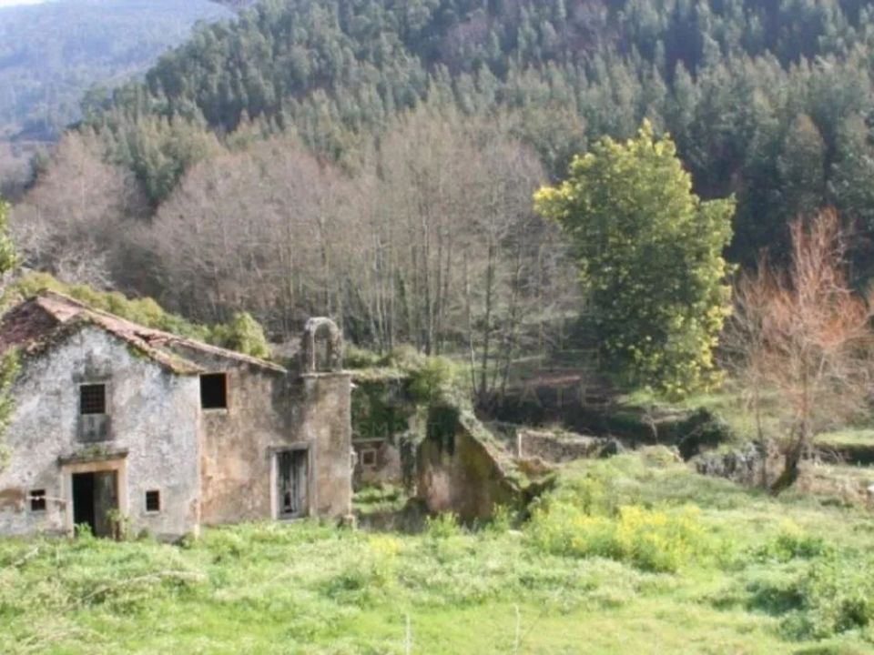 Farm i Penela, Coimbra - foto 4