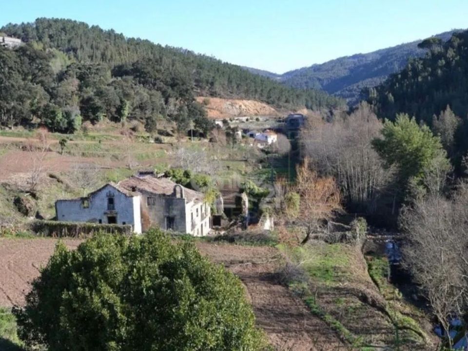 Farm i Penela, Coimbra - foto 5