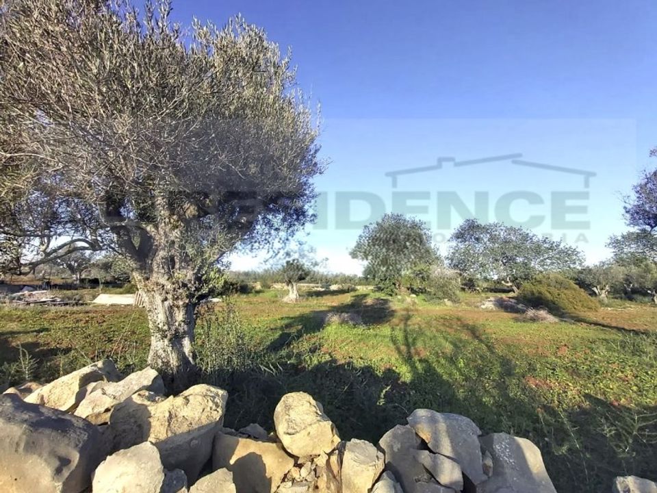 Helårsgrund i Ferreiras, Faro - foto 1