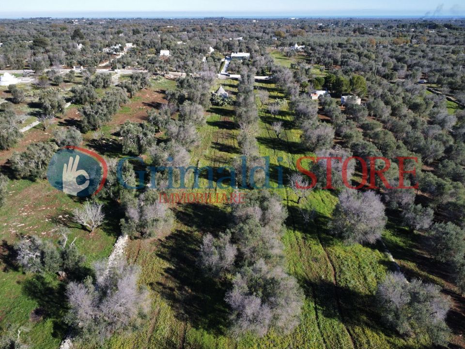 Villa i Carovigno, Brindisi - foto 4