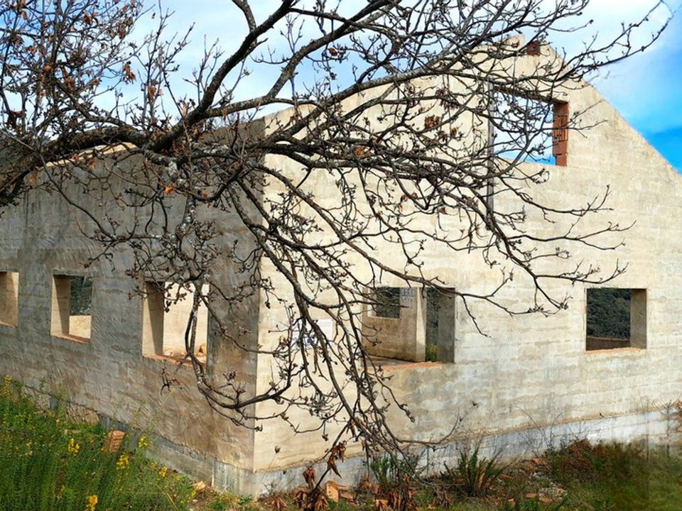CENTURY 21 PLUS  photo 3