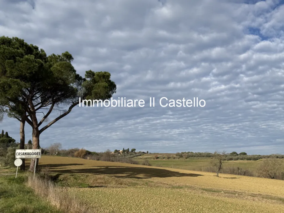 Helårsgrund i Castiglione del Lago, Perugia - foto 3
