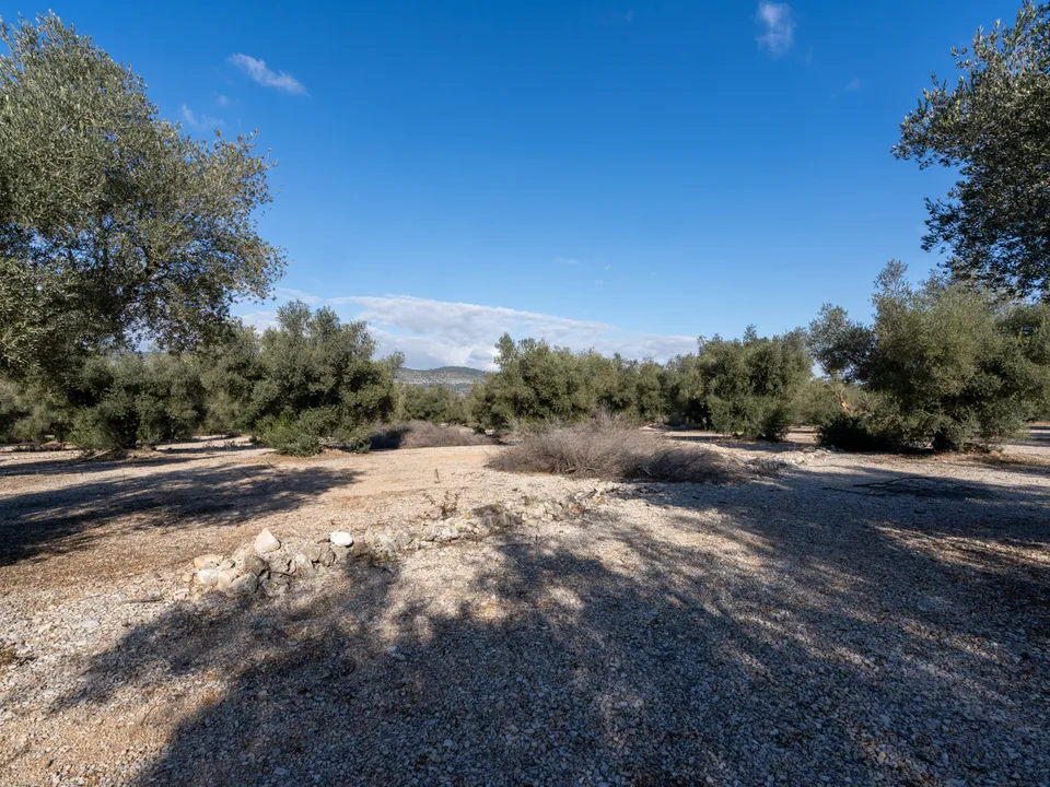 Finca i Ulldecona, Tarragona - bilde 3