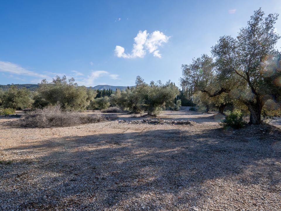 Finca i Ulldecona, Tarragona - bilde 4