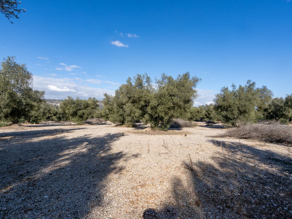 Finca i Ulldecona, Tarragona - bilde 5