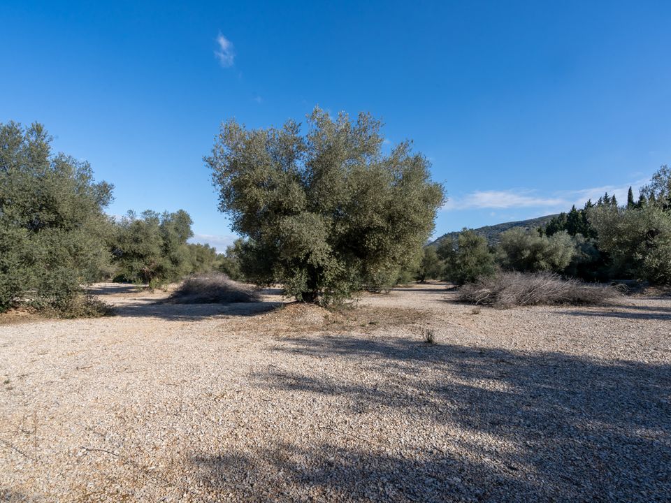 Finca i Ulldecona, Tarragona - bilde 1