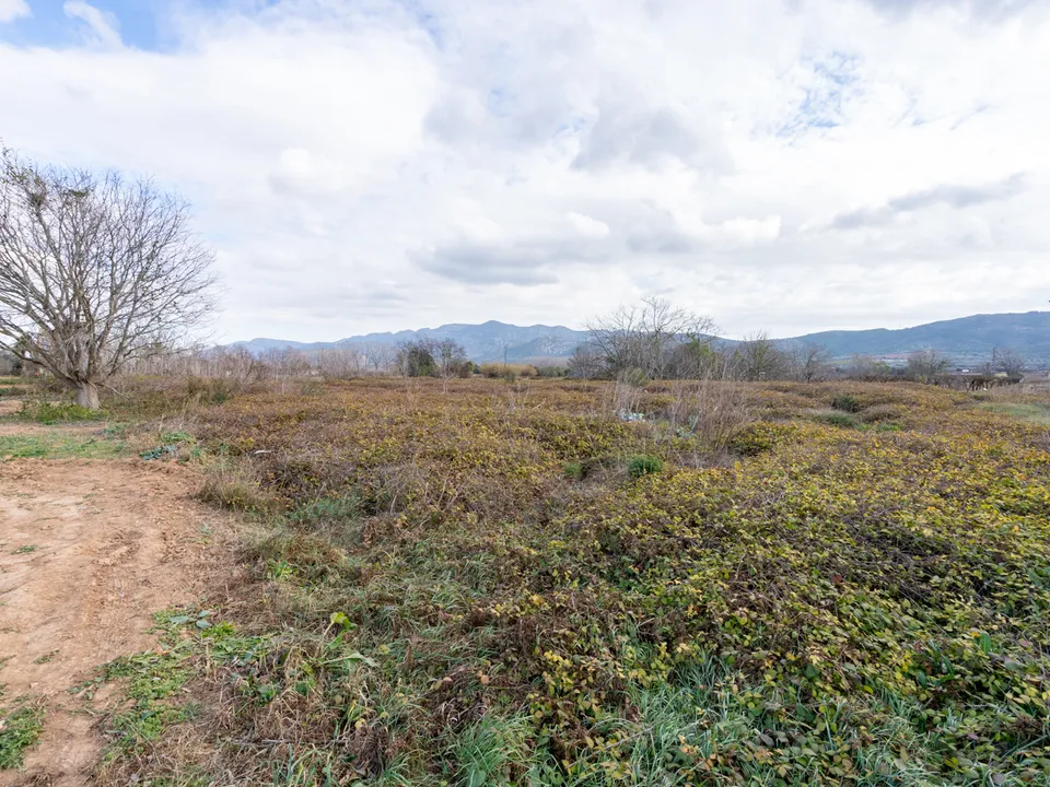Finca i Ulldecona, Tarragona - bilde 1
