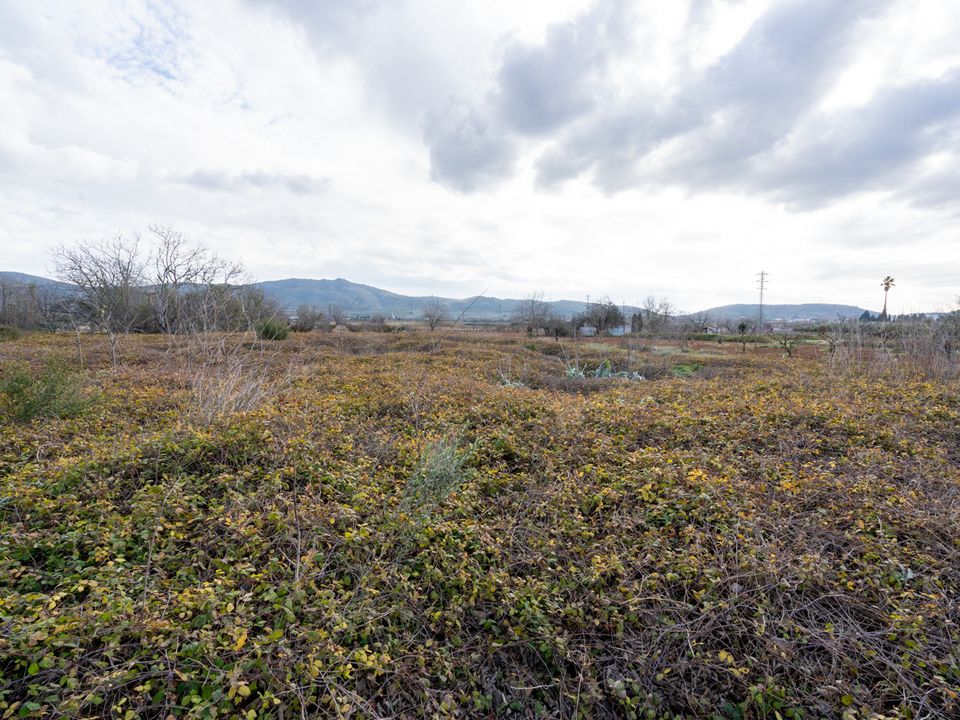 Finca i Ulldecona, Tarragona - bilde 2
