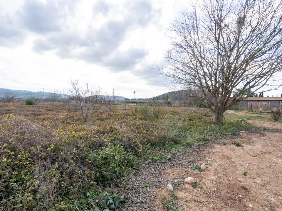 Finca i Ulldecona, Tarragona - bilde 3