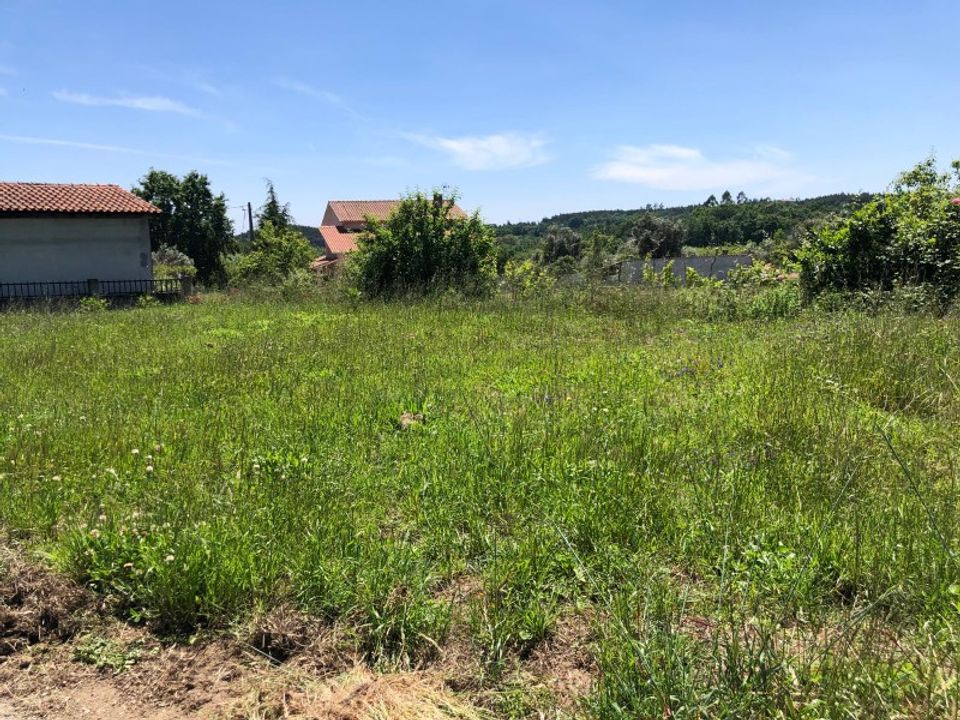 Helårsgrund i Santa Comba Dao, Viseu - foto 3