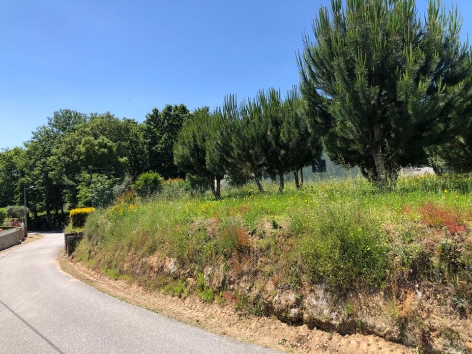 Helårsgrund i Santa Comba Dao, Viseu - foto 1