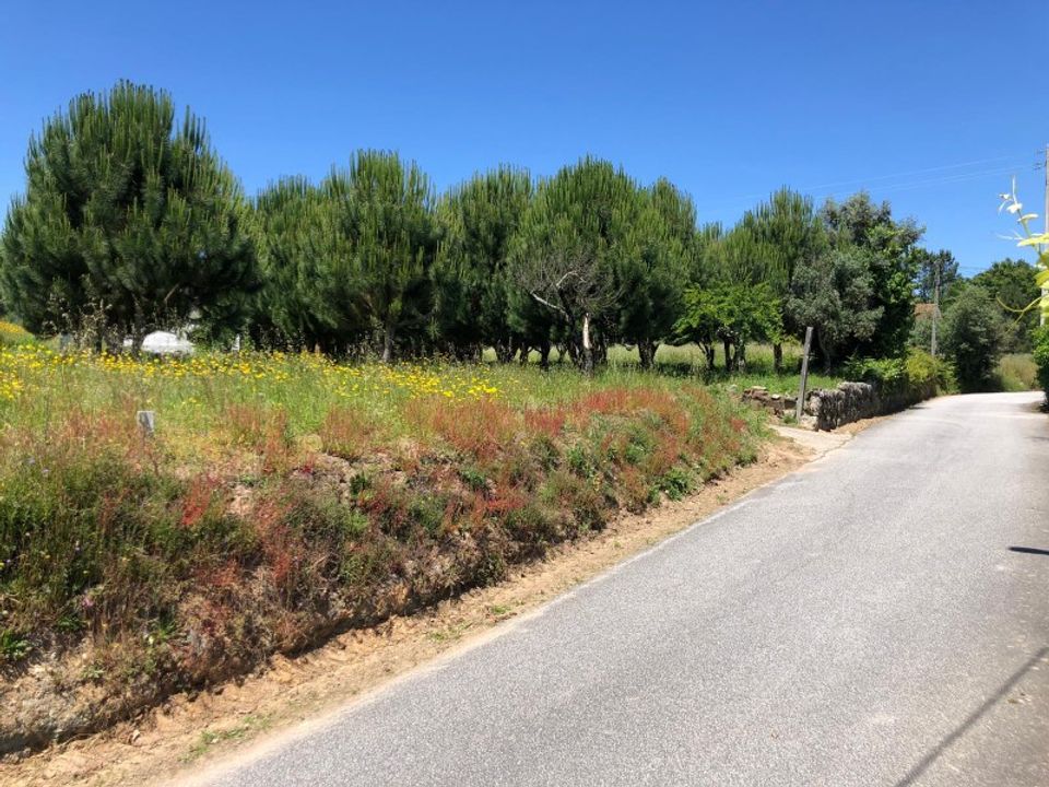 Helårsgrund i Santa Comba Dao, Viseu - foto 3