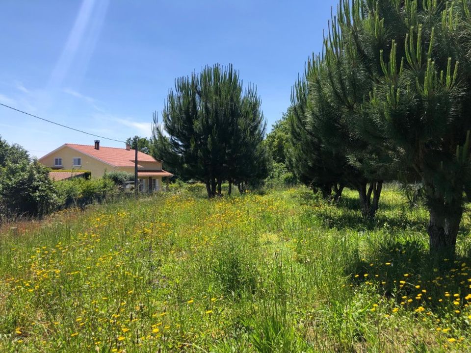 Helårsgrund i Santa Comba Dao, Viseu - foto 5