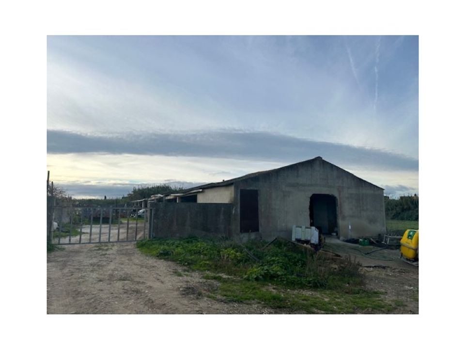 Helårsgrund i Alcochete, Setubal - foto 5