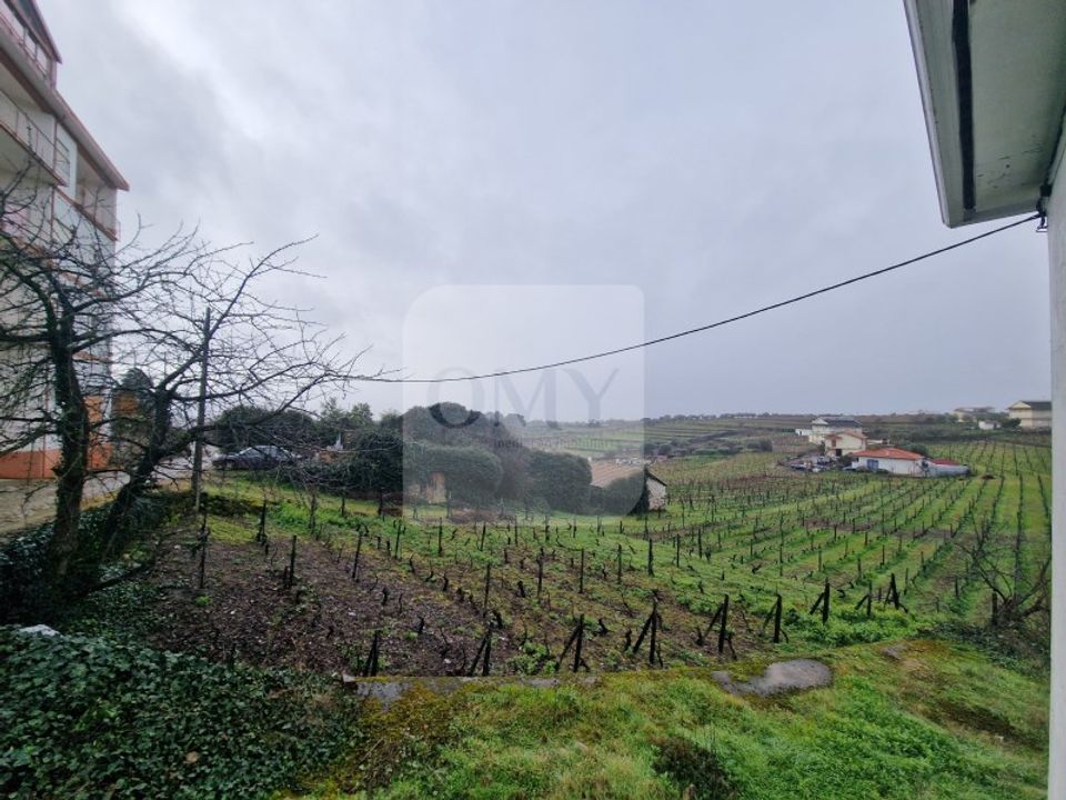 Erhvervsejendom i Alijo, Vila Real - foto 4