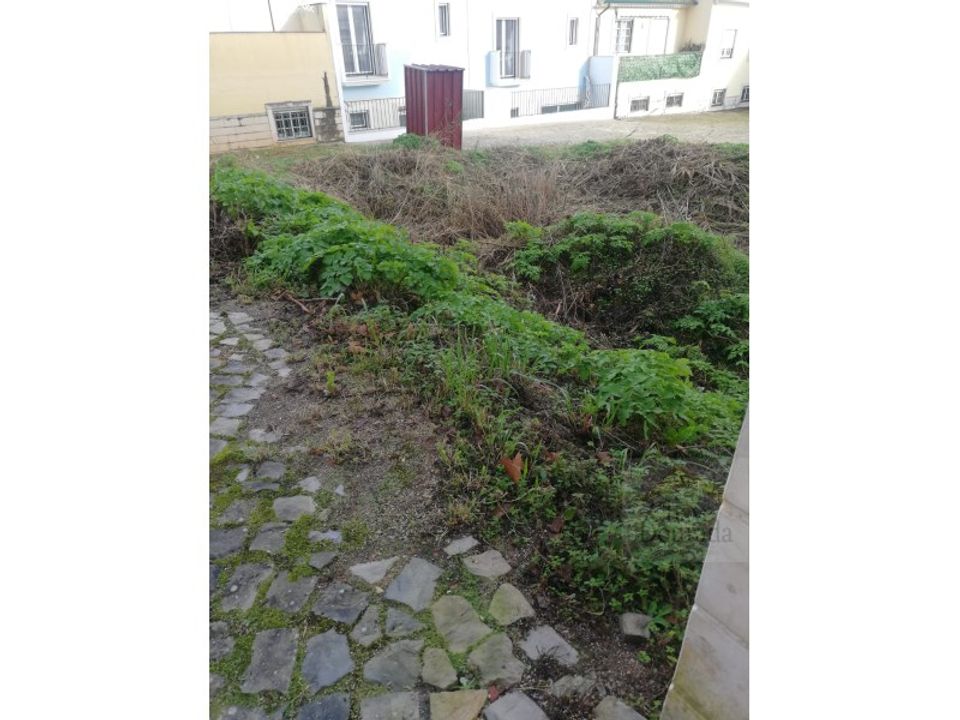 Helårsgrund i Coimbra, Coimbra - foto 3