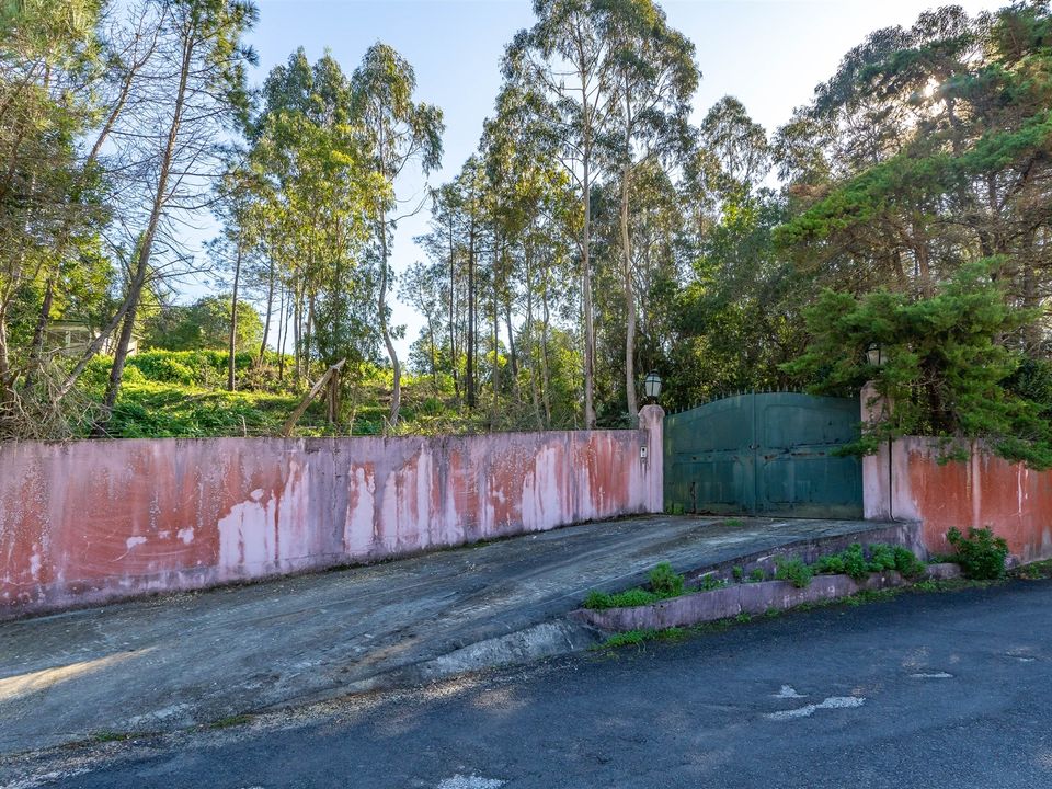 Tomt i Sintra, Lisbon - bilde 1