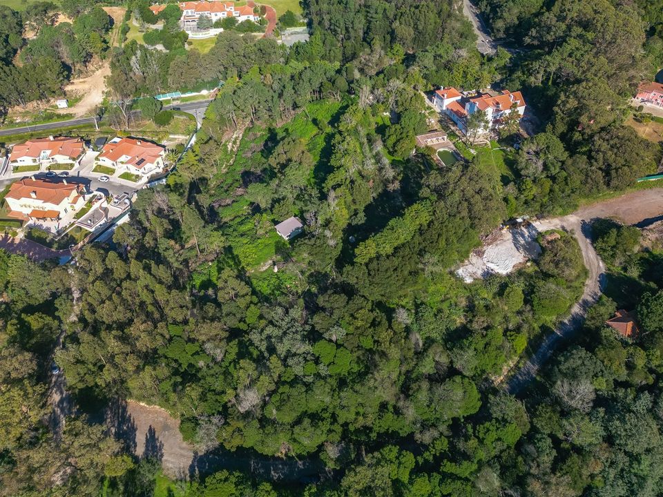 Tomt i Sintra, Lisbon - bilde 3