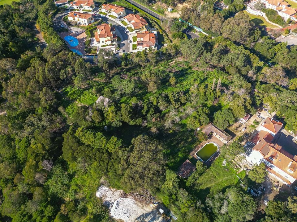 Tomt i Sintra, Lisbon - bilde 4