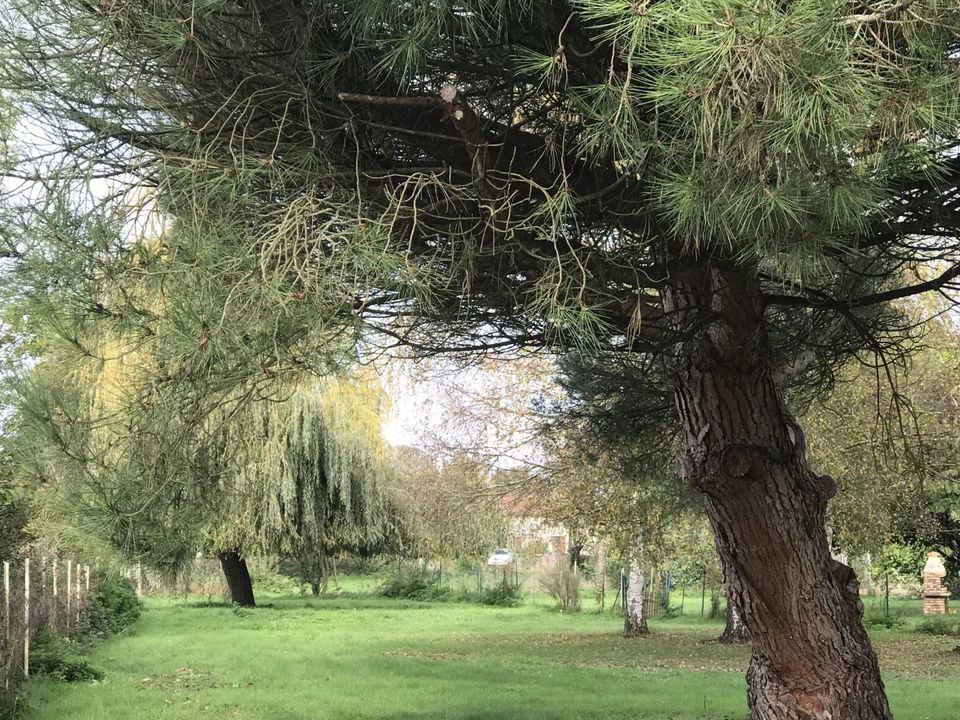 Helårsgrund i Ardiège, Haute-Garonne - foto 2