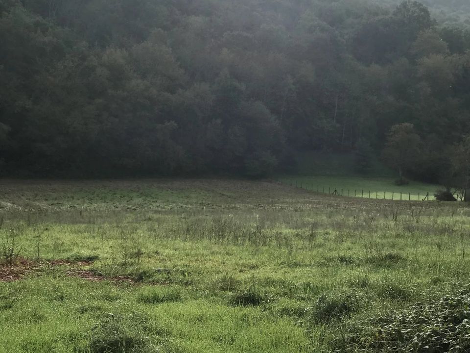 Helårsgrund i Ardiège, Haute-Garonne - foto 3
