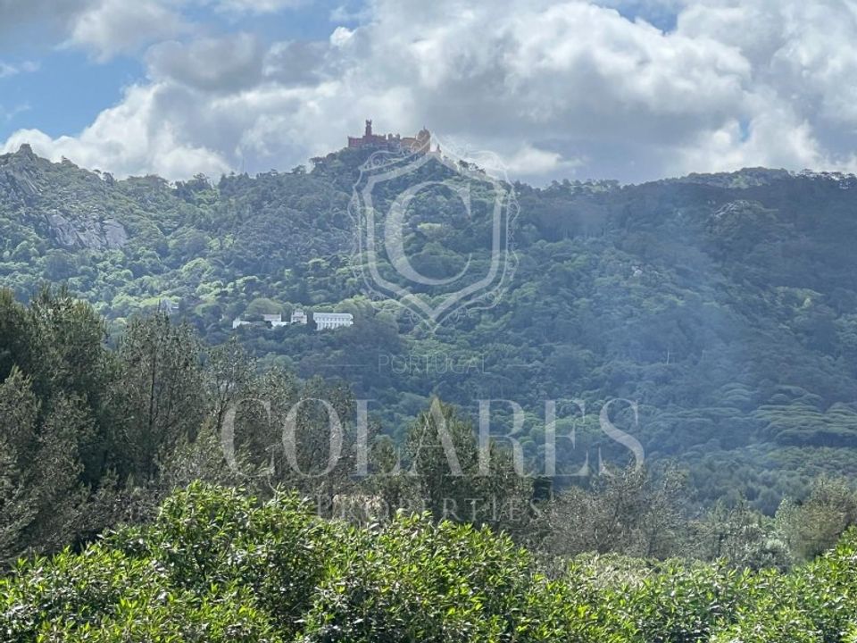 Helårsgrund i Sintra, Lisbon - foto 4