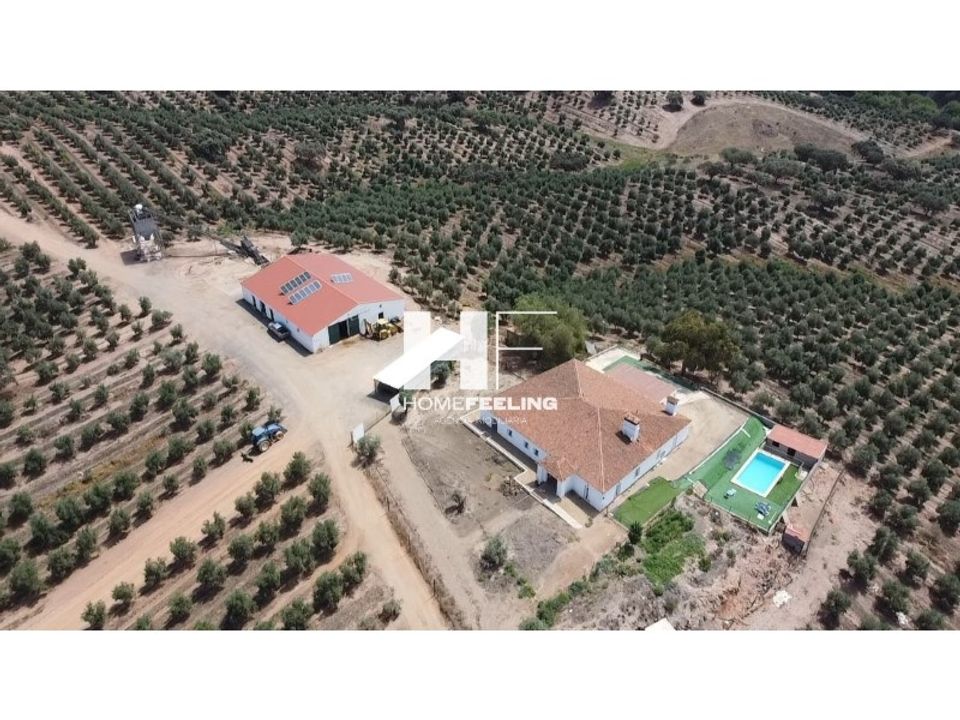 Farm i Beja, Beja - foto 2