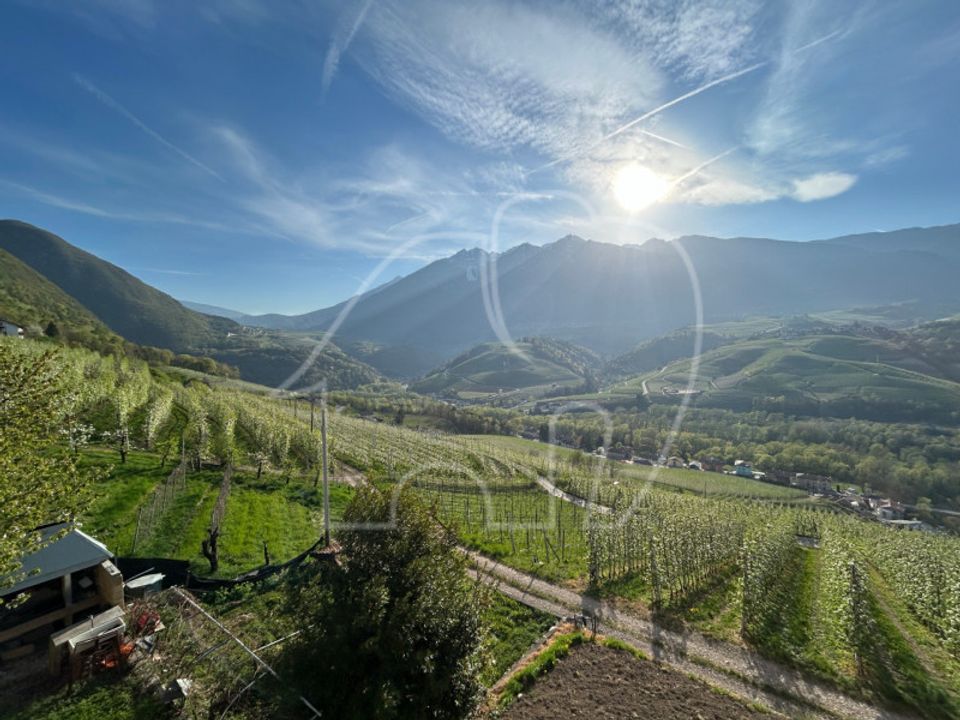 Villa i Ton, Trento - foto 4