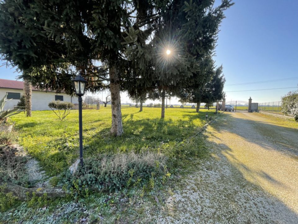 Villa i Gonzaga, Mantua - foto 2