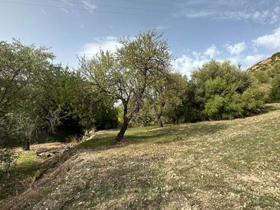 Helårsgrund i Noto, Siracusa - foto 4