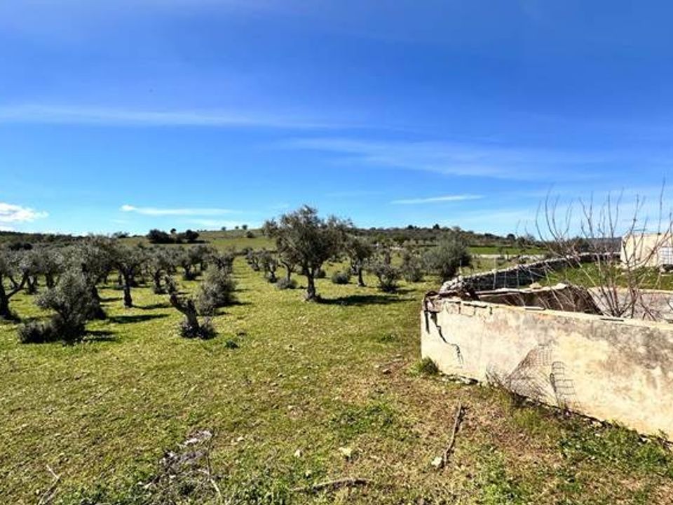 Helårsgrund i Ferla, Siracusa - foto 5