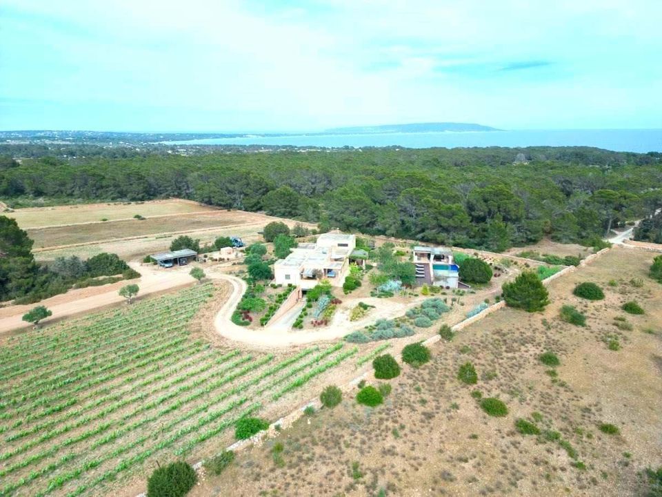 Villa i Sant Francesc De Formentera, Formentera - foto 4