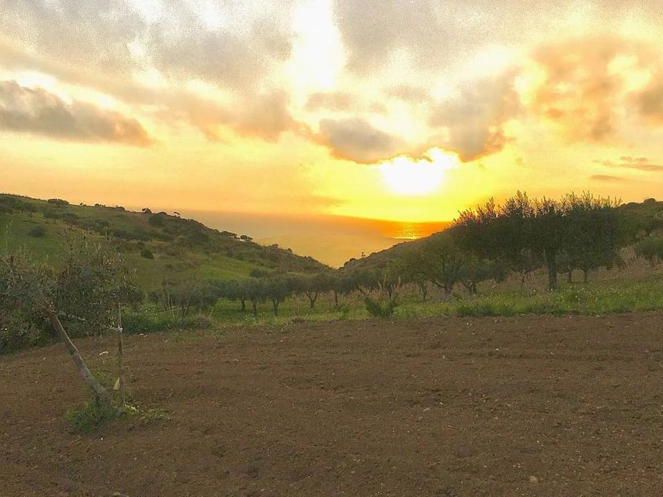 Terra a Siculiana, Agrigento - foto 2