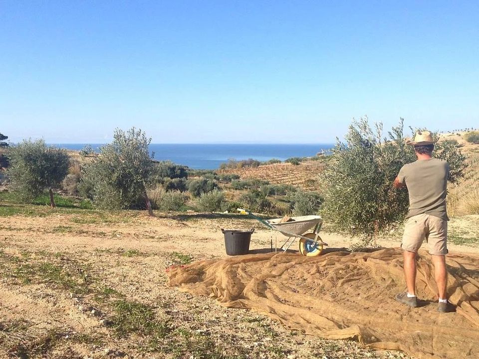 Terra a Siculiana, Agrigento - foto 4