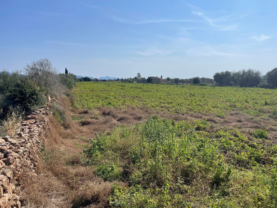 Helårsgrund i Buger, Mallorca - foto 1