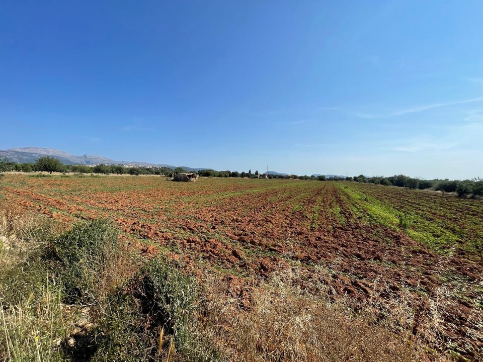 Helårsgrund i Buger, Mallorca - foto 2