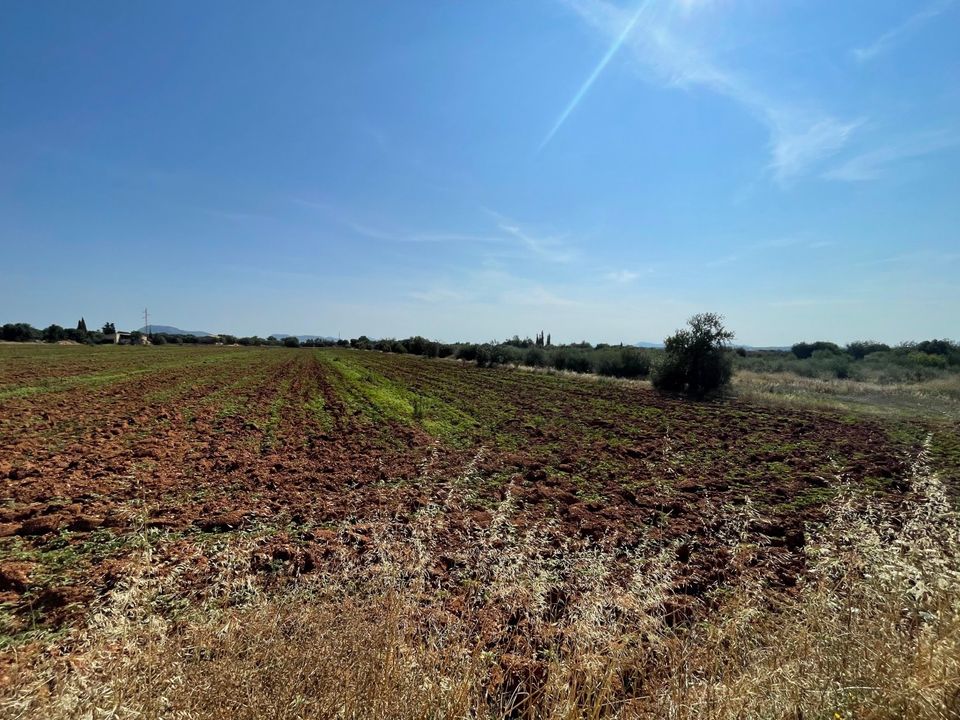 Helårsgrund i Buger, Mallorca - foto 4