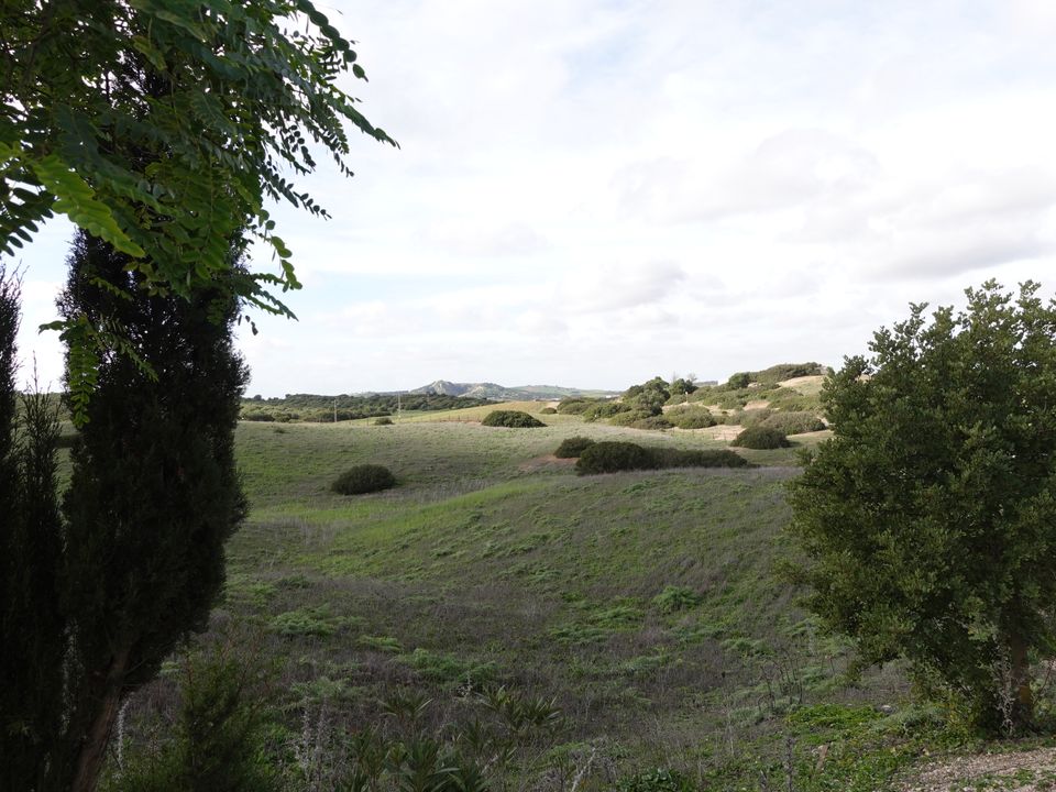 Finca i Medina Sidonia, Cadiz - foto 5