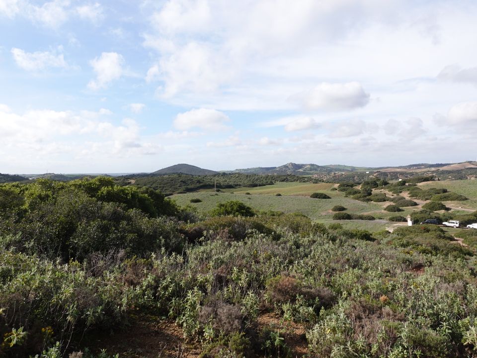 Finca i Medina Sidonia, Cadiz - foto 2