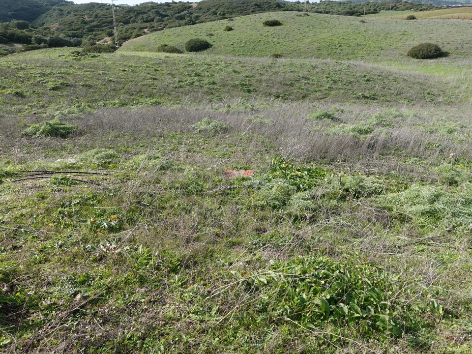 Finca i Medina Sidonia, Cadiz - foto 4