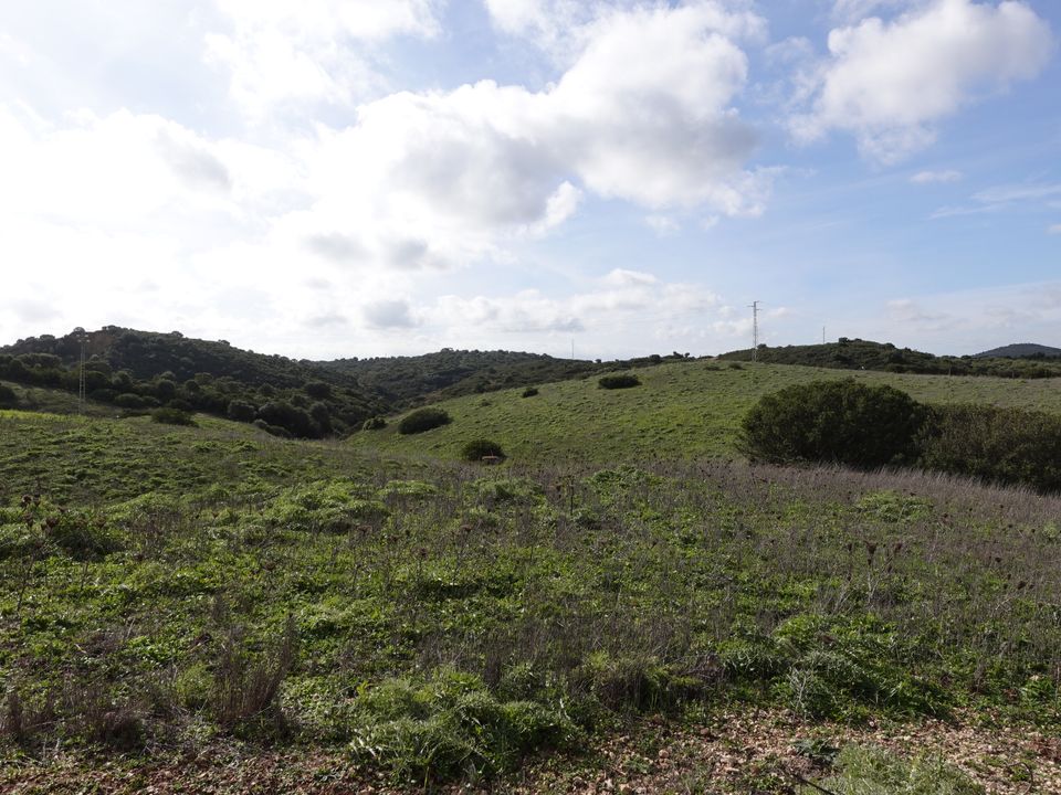 Finca i Medina Sidonia, Cadiz - foto 3