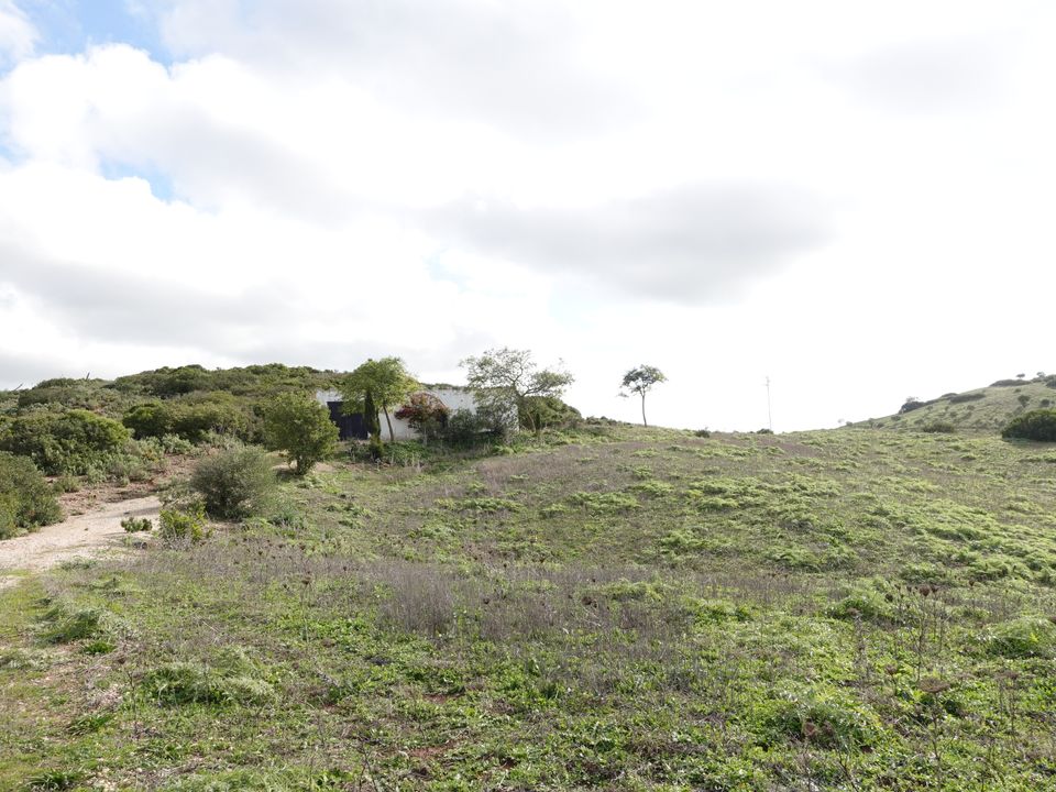 Finca i Medina Sidonia, Cadiz - foto 1