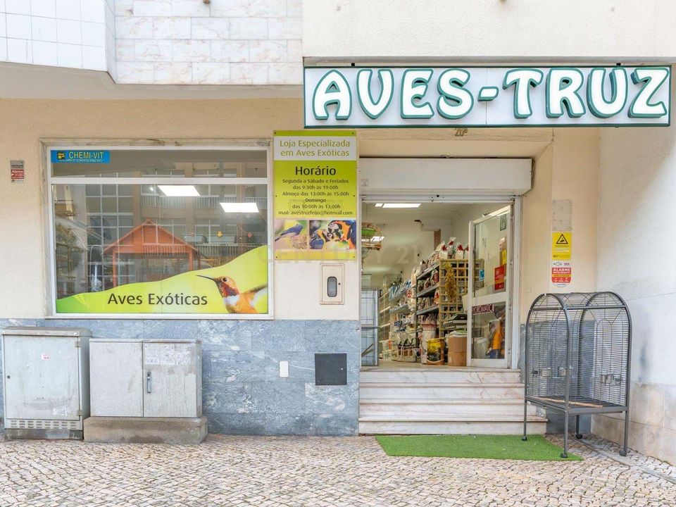 Erhvervsejendom i Laranjeiro, Setubal - foto 1