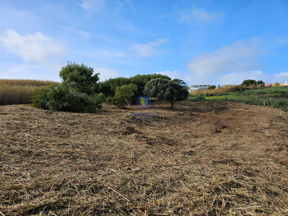Tomt i Foz do Arelho, Leiria - bilde 1