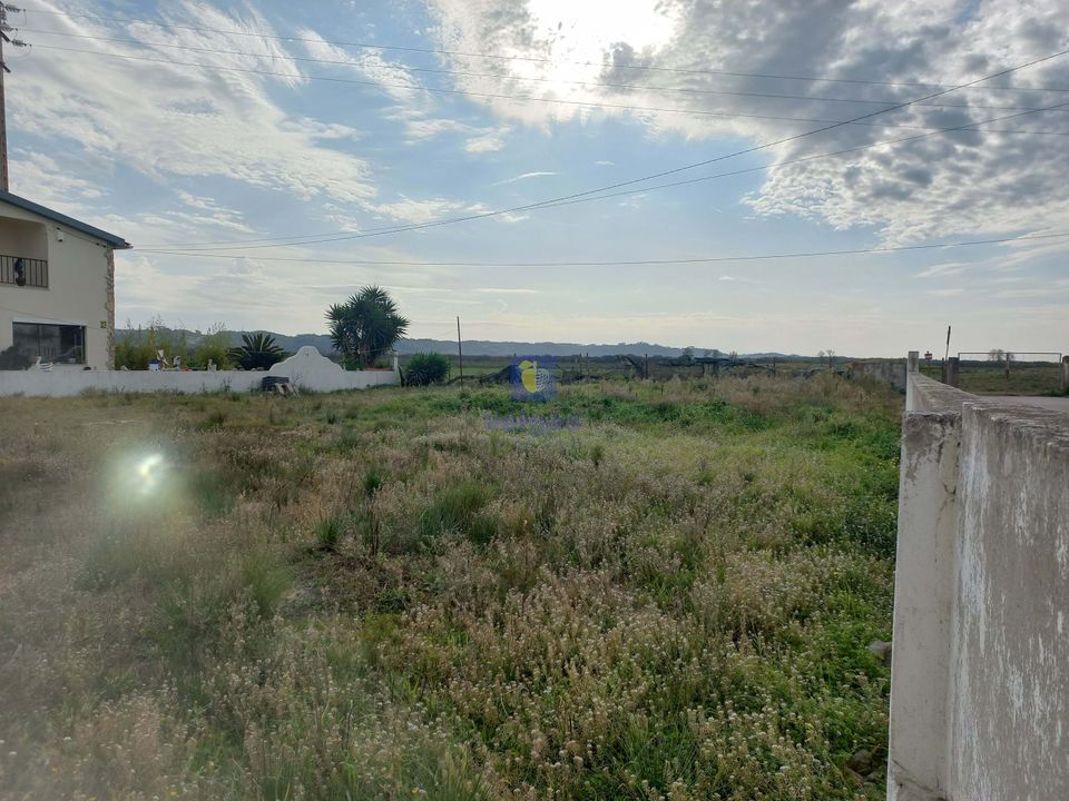 Helårsgrund i Alcobaca, Leiria - foto 5