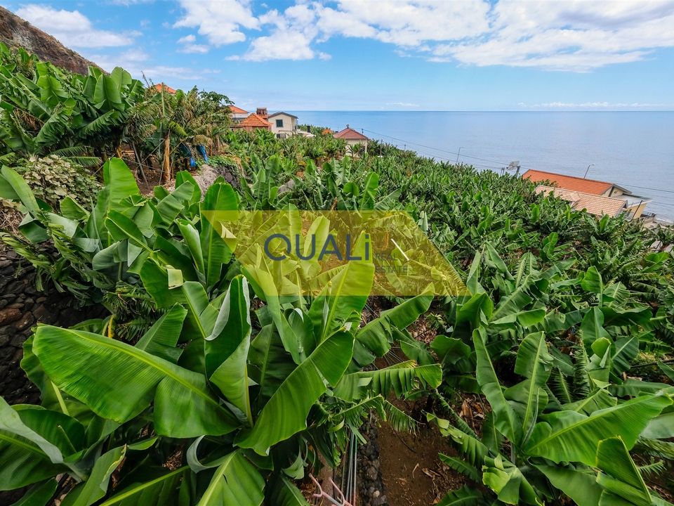 Villa i Ponta do Sol, Madeira - foto 5