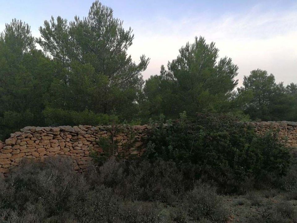 Villa i Sant Francesc De Formentera, Formentera - foto 4