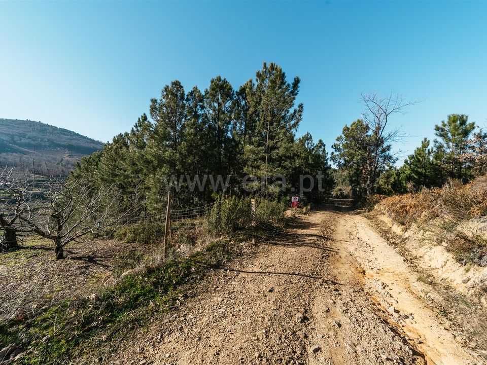 Helårsgrund i Fundao, Castelo Branco - foto 1